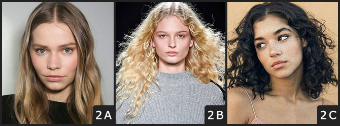 Type 2 Hair Type 2 Hair